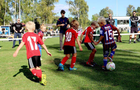 Bergkvara AIF PF17-18 - Trekanten Cup 2024